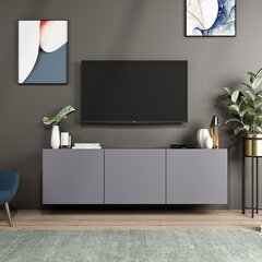 TV staliukas Kalune Design White, pilkas цена и информация | Тумбы под телевизор | pigu.lt