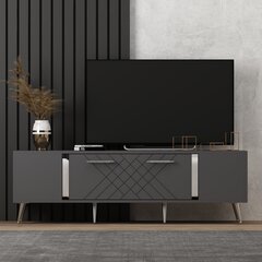 TV stalas Detas - Anthracite, Silver kaina ir informacija | TV staliukai | pigu.lt