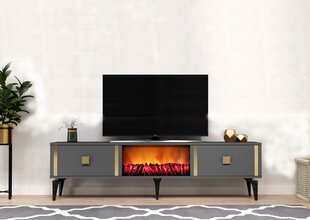 TV stalas Doruk Fireplace - Anthracite, Gold kaina ir informacija | TV staliukai | pigu.lt