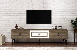 TV stalas Asya - Walnut, White kaina ir informacija | TV staliukai | pigu.lt