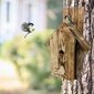 Paukščių lizdas Gomer, medinis цена и информация | Inkilai, lesyklėlės, narvai | pigu.lt