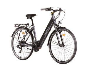 Elektrinis dviratis Denver Emotive 28", pilkas kaina ir informacija | Denver Sportas, laisvalaikis, turizmas | pigu.lt