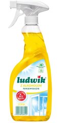 Ludwik langų valiklis Lemon, 600 ml цена и информация | Очистители | pigu.lt