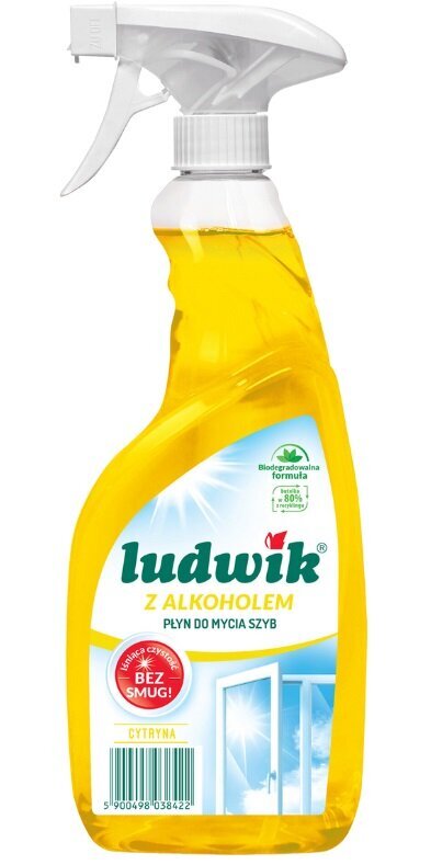Ludwik langų valiklis Lemon, 600 ml kaina ir informacija | Valikliai | pigu.lt