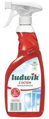 Ludwik langų valiklis Grapefruit, 600 ml kaina ir informacija | Valikliai | pigu.lt