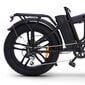 Elektrinis dviratis SkyJet Nitro Pro 20", juodas kaina ir informacija | Elektriniai dviračiai | pigu.lt