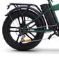 Elektrinis dviratis SkyJet Nitro Pro 20", žalias kaina ir informacija | Elektriniai dviračiai | pigu.lt
