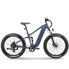 Elektrinis dviratis APE Ryder Buffalo-F 26", mėlynas kaina ir informacija | Elektriniai dviračiai | pigu.lt