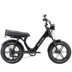Elektrinis dviratis Ape Ryder 20 MD10 Pro, juodas цена и информация | Электровелосипеды | pigu.lt