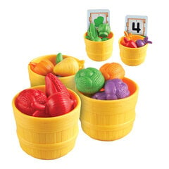 Daržovių rūšiavimo žaidimas Learning Resources LER 5553 kaina ir informacija | Lavinamieji žaislai | pigu.lt