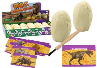 Archeologinių kasinėjimų rinkinys Dinozauro kiaušinis kaina ir informacija | Lavinamieji žaislai | pigu.lt