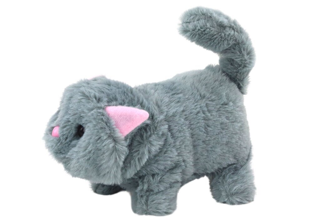 Interaktyvus pliušinis kačiukas Lean Toys, pilkas kaina ir informacija | Žaislai mergaitėms | pigu.lt