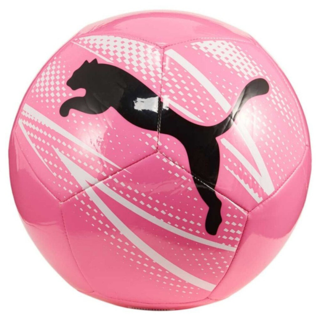 Futbolo kamuolys Puma, 4 dydis kaina ir informacija | Futbolo kamuoliai | pigu.lt