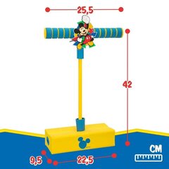 вышибала disney mickey mouse цена и информация | Игры на открытом воздухе | pigu.lt