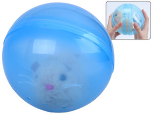 Žiurkėnas kamuolyje kaina ir informacija | Lavinamieji žaislai | pigu.lt