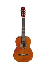 Prekė su pažeidimu. Klasikinės gitaros rinkinys Aiersi SC040 A 39" kaina ir informacija | Prekės su pažeidimu | pigu.lt