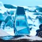 Tualetinis vanduo Oriflame Glacier EDT vyrams, 100 ml kaina ir informacija | Kvepalai vyrams | pigu.lt