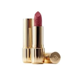 Lūpų dažai su SPF 15 Oriflame Giordani Gold Eternal Glow Rouge Rose, 3.8 g цена и информация | Помады, бальзамы, блеск для губ | pigu.lt