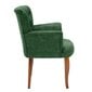 Fotelis Kalune Design Paris Walnut Wooden, žalias/rudas kaina ir informacija | Svetainės foteliai | pigu.lt