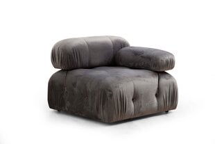 Fotelis Bubble 1R, pilkas цена и информация | Кресла в гостиную | pigu.lt
