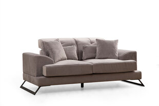 Sofa Frido, pilka kaina ir informacija | Sofos | pigu.lt