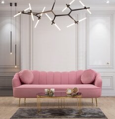 Sofa Istiridye, rožinė kaina ir informacija | Sofos | pigu.lt