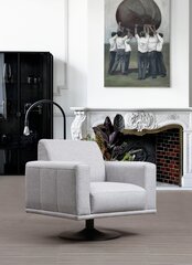 Fotelis Asir Nikea, pilkas цена и информация | Кресла в гостиную | pigu.lt