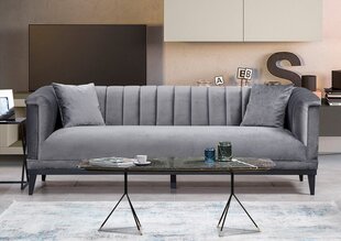 Sofa Asir Trendy, pilka kaina ir informacija | Sofos | pigu.lt