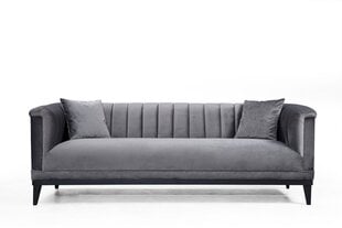 Sofa Asir Trendy, pilka kaina ir informacija | Sofos | pigu.lt