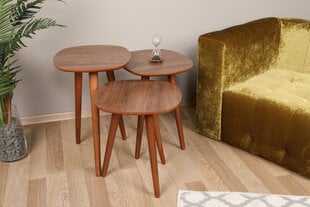 3-ių kavos staliukų komplektas Hanah Home Tyn, rudas kaina ir informacija | Kavos staliukai | pigu.lt