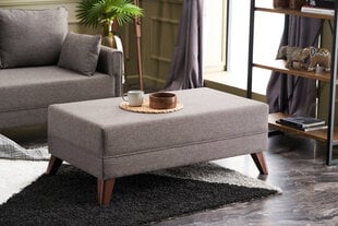 Kampinė sofa-lova Bella Mini Left, ruda kaina ir informacija | Minkšti kampai | pigu.lt