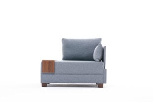 Fotelis Fly, mėlynas цена и информация | Кресла в гостиную | pigu.lt