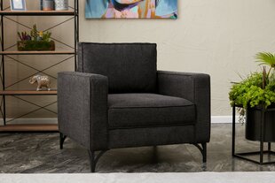 Fotelis Berlin, pilkas/juodas цена и информация | Кресла в гостиную | pigu.lt