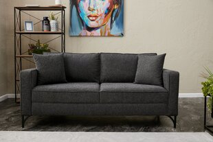 Sofa Berlin, pilka цена и информация | Диваны | pigu.lt