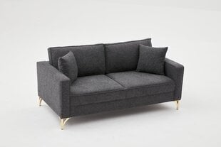 Sofa Berlin, pilka цена и информация | Диваны | pigu.lt