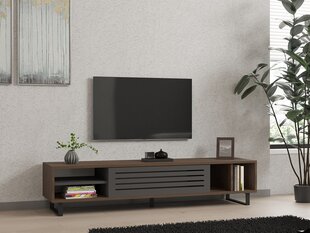 TV staliukas Asir Eray, rudas/pilkas kaina ir informacija | TV staliukai | pigu.lt