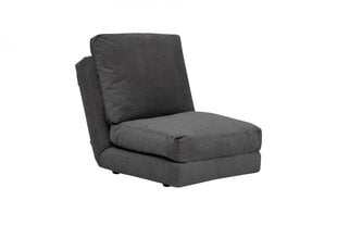 Fotelis lova Taida GR126, pilkas цена и информация | Кресла в гостиную | pigu.lt