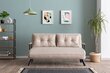 Sofa-lova Sando, smėlio spalvos цена и информация | Sofos | pigu.lt