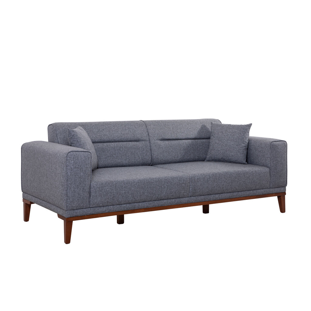 Sofa-lova Liones, pilka kaina ir informacija | Sofos | pigu.lt