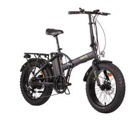 Elektrinis dviratis Denver Orus E 2500 20", juodas kaina ir informacija | Denver Sportas, laisvalaikis, turizmas | pigu.lt