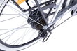 Elektrinis dviratis Denver E4300 26", pilkas цена и информация | Elektriniai dviračiai | pigu.lt