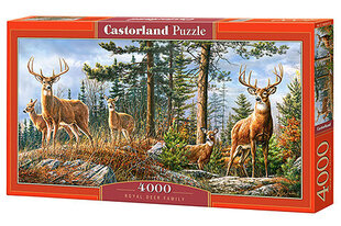 Prekė su pažeista pakuote.Dėlionė Castorland Puzzle Royal Deer Family, 4000 d. kaina ir informacija | Žaislai vaikams su pažeista pakuote | pigu.lt