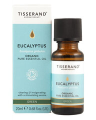 "Eucalyptus Organic" - eukaliptų aliejus (20 ml) kaina ir informacija | Eteriniai, kosmetiniai aliejai, hidrolatai | pigu.lt