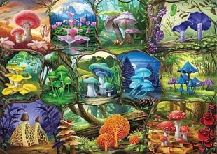 Dėlionė Ravensburger Beautiful Mushrooms, 1000 d. kaina ir informacija | Dėlionės (puzzle) | pigu.lt