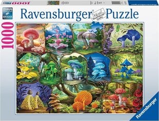 Dėlionė Ravensburger Beautiful Mushrooms, 1000 d. kaina ir informacija | Dėlionės (puzzle) | pigu.lt