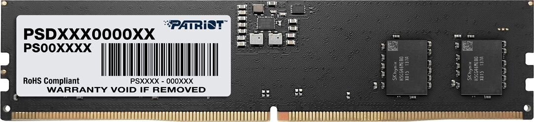 Patriot PSD58G520041 kaina ir informacija | Operatyvioji atmintis (RAM) | pigu.lt