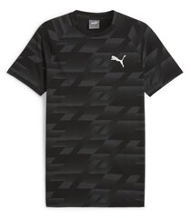 Puma мужская футболка 678993*01, черный/серый 4099685604982 цена и информация | Мужские футболки | pigu.lt