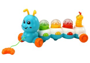 Traukiamas spalvotas vikšras su garso ir šviesos efektais Lean Toys kaina ir informacija | Žaislai kūdikiams | pigu.lt