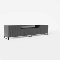 TV spintelė ADRK Furniture Noemi, pilka kaina ir informacija | TV staliukai | pigu.lt