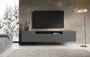 ТВ шкафчик ADRK Furniture Noemi, серый цвет цена и информация | Тумбы под телевизор | pigu.lt